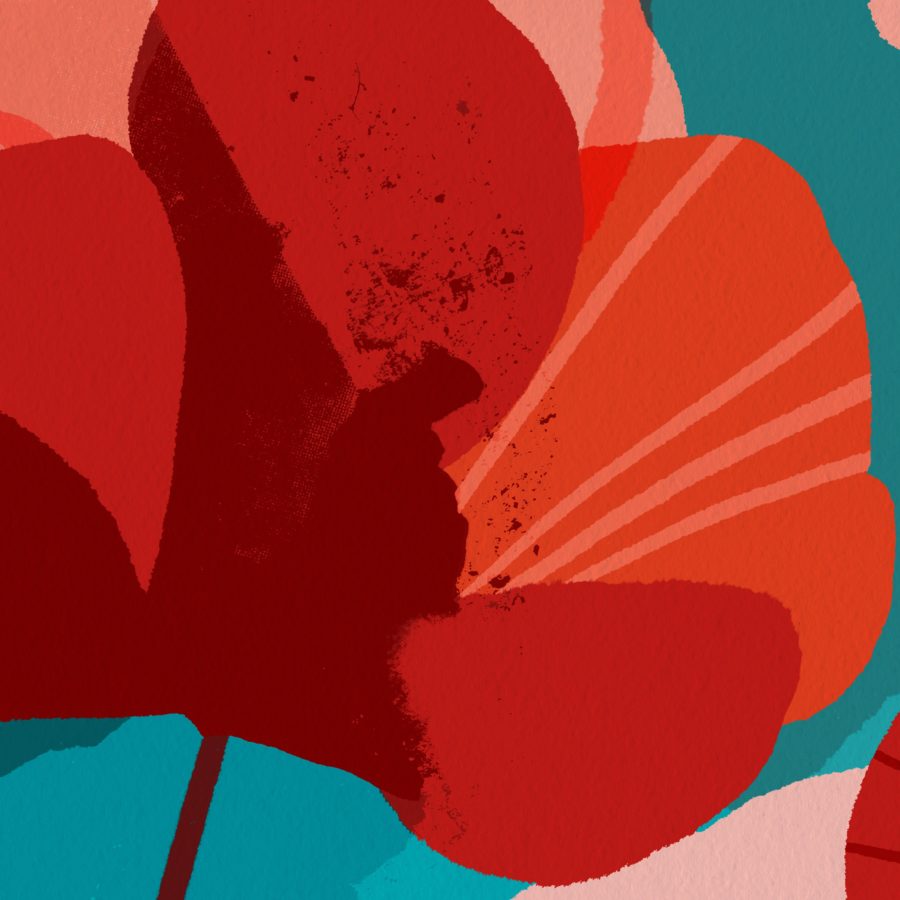 Wild Poppies-thumbmail-3