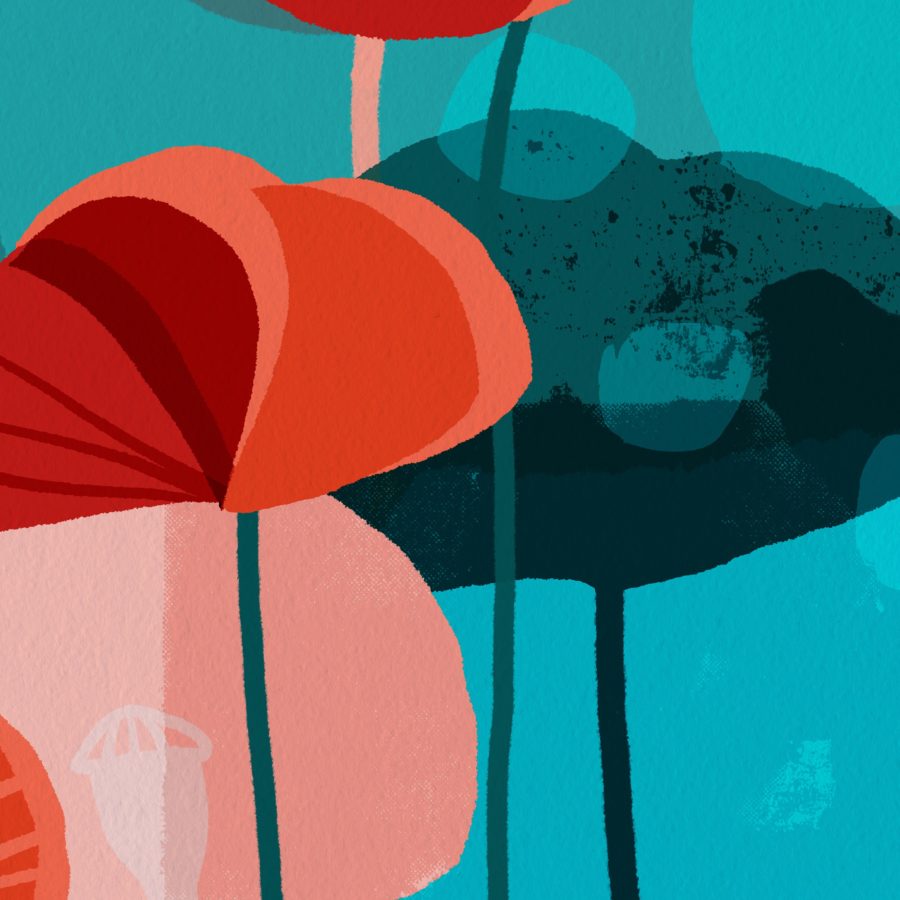 Wild Poppies-thumbmail-4