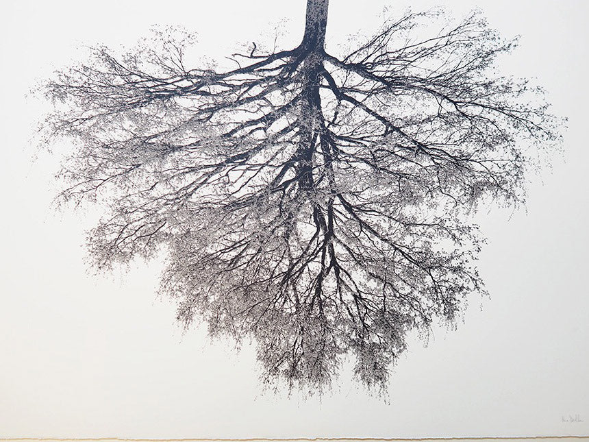 El árbol